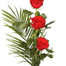 Ramo 3 Rosas Rf 020 San Valentín